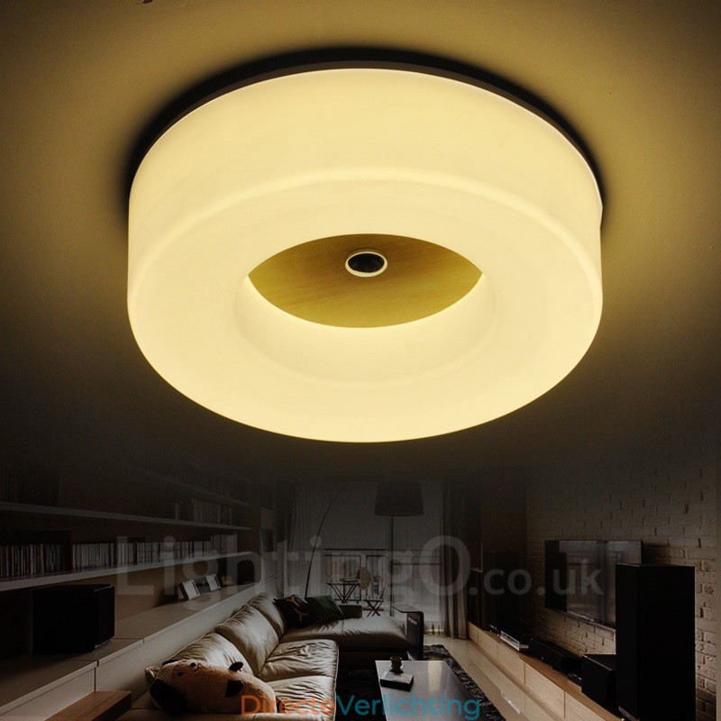 Moderne, eigentijdse plafondlampen in Scandinavische stijl met acryl kap