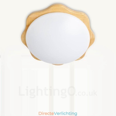 Moderne, eigentijdse plafondlampen met acryl kap Moderne, eigentijdse plafondlampen met acryl kap