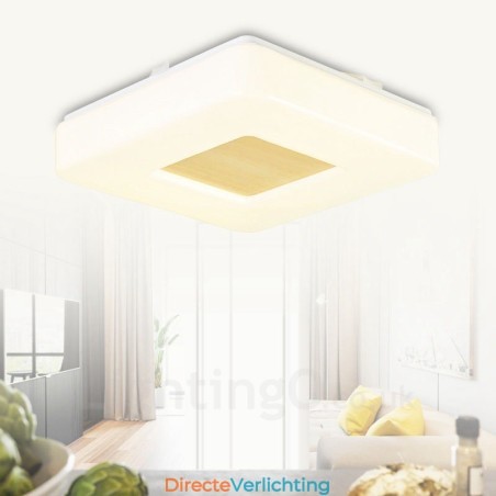 Moderne, eigentijdse plafondlampen met acryl kap Moderne, eigentijdse plafondlampen met acryl kap