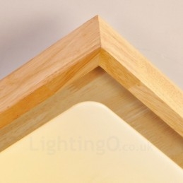 Moderne, eigentijdse plafondlampen met acryl kap