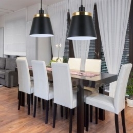 1 Licht Moderne Hedendaagse Hanglamp Plafondlamp