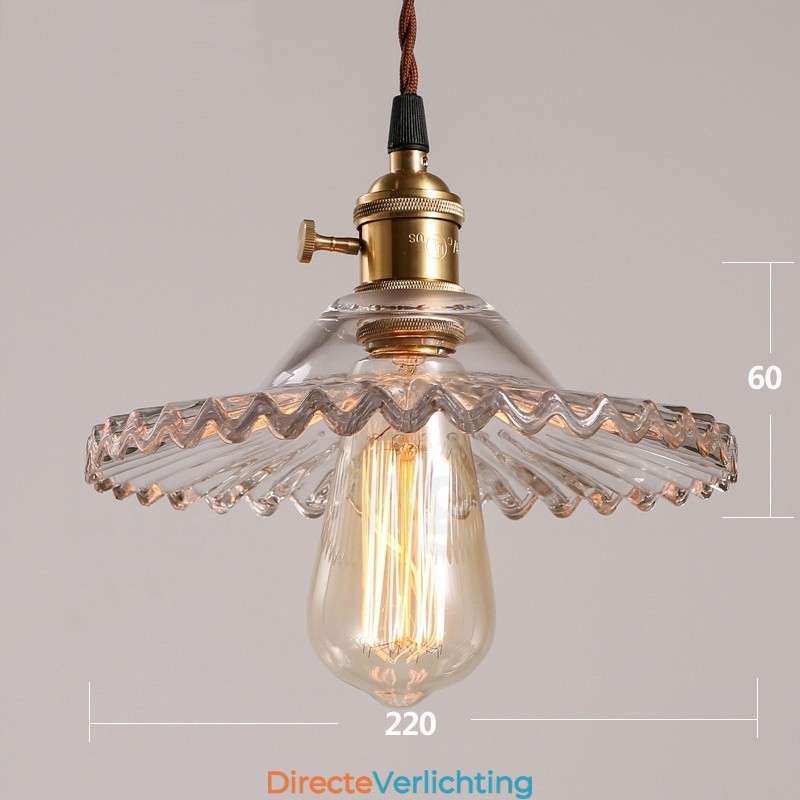 Rustieke Lodge Retro 1-lichts stalen hanglamp met glazen kap