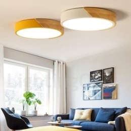 Moderne eigentijdse stalen houten verlichting plafondlamp