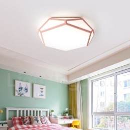 Moderne eigentijdse stalen plafondlamp