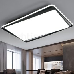 Moderne mode zwart-witte rechthoekige plafondlamp