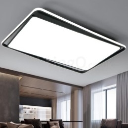 Moderne mode zwart-witte rechthoekige plafondlamp