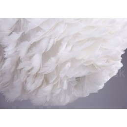 Multi Colours Feather Kroonluchter Moderne Hedendaagse Hanglamp