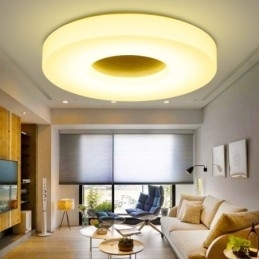 Dimbare ultradunne ronde plafondlamp van hout met acryl kap Plafondlamp in Scandinavische stijl