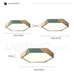 Dimbare Macaron Ultradunne Multi Colours Houten Plafondlamp met Acryl Kap Plafondlamp Scandinavische Stijl