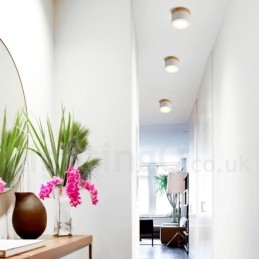 Houten moderne design mini plafondlamp met acryl kap speciaal voor Kan ook gebruikt worden als wandlamp
