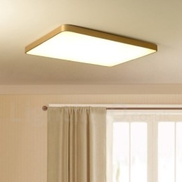 Ultradunne rechthoekige dimbare moderne eigentijdse Scandinavische stijl plafondlampen van messing met acryl kap. Kan ook als wandlamp worden gebruikt.