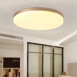 Ultradunne ronde dimbare moderne eigentijdse Scandinavische stijl plafondlampen met acryl kap kunnen ook als wandlamp worden gebruikt