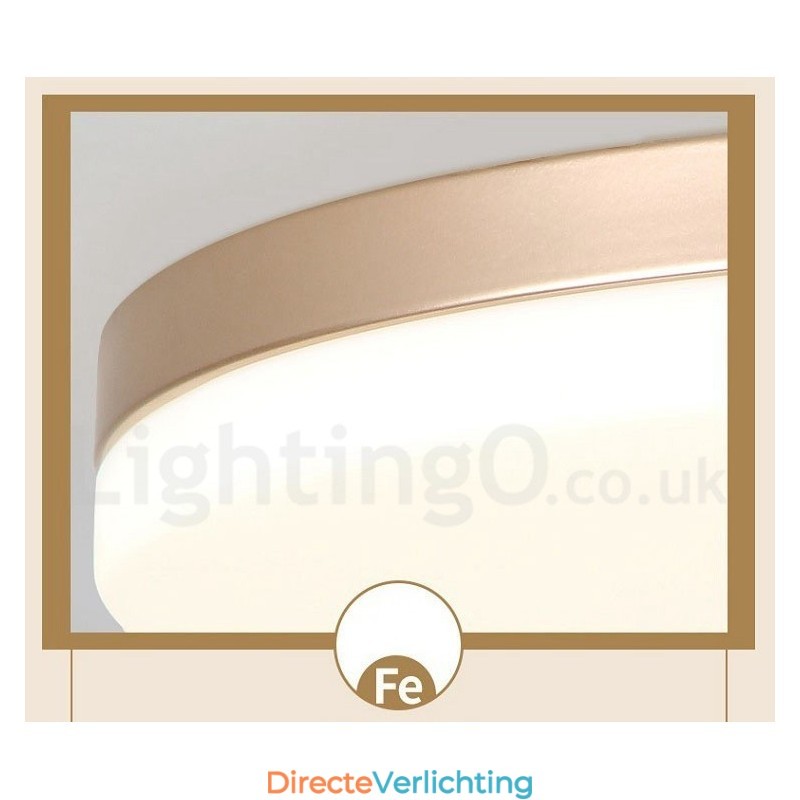 Ultradunne ronde dimbare moderne eigentijdse Scandinavische stijl plafondlampen met acryl kap kunnen ook als wandlamp worden gebruikt