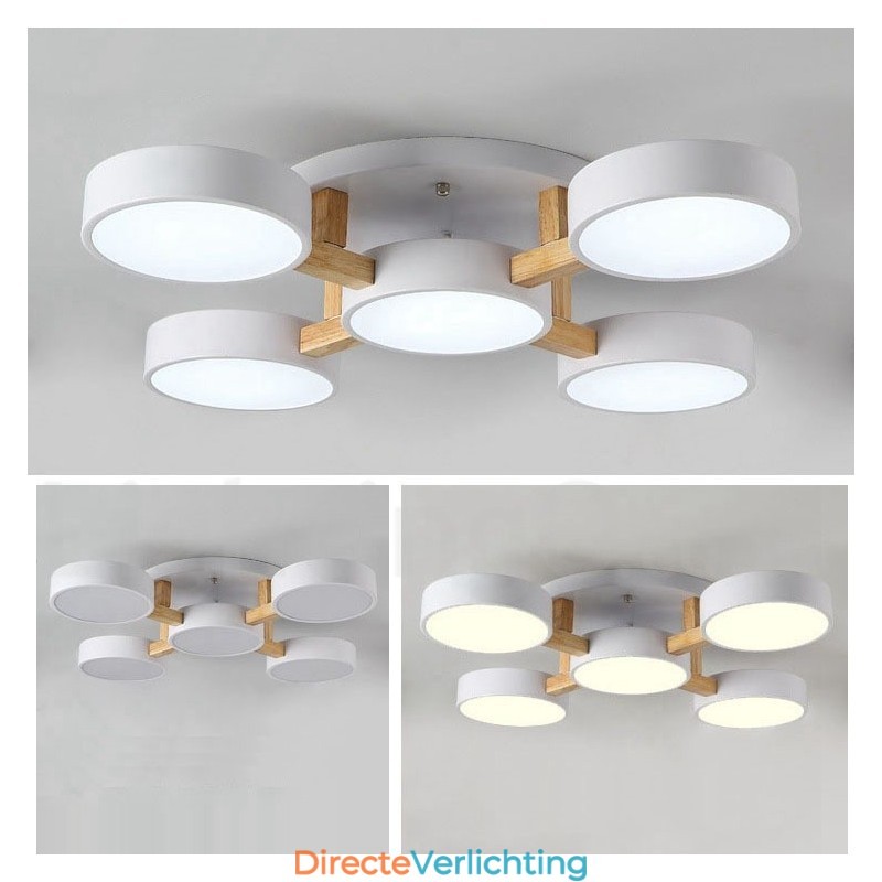 Houten kroonluchter moderne eigentijdse Scandinavische stijl plafondlamp met acryl kap