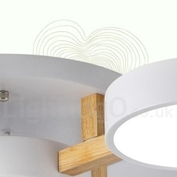Houten kroonluchter moderne eigentijdse Scandinavische stijl plafondlamp met acryl kap