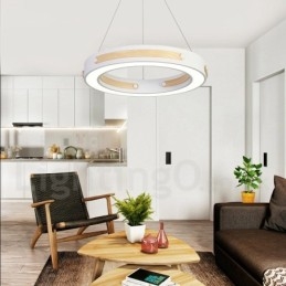 Multi Wood Colours Ring Moderne Hedendaagse Hanglamp met Acryl Kap