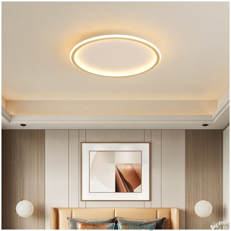 Ultradunne dimbare moderne eigentijdse Scandinavische stijl plafondlampen met afstandsbediening, kunnen ook als wandlamp worden gebruikt