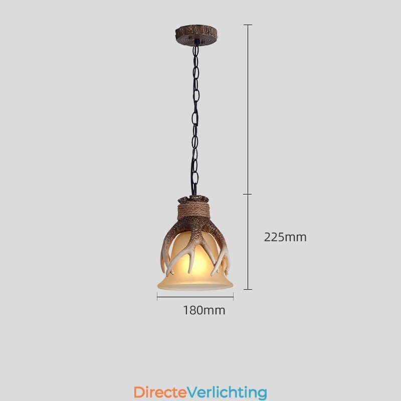 Eén licht rustieke artistieke retro gewei antieke hanglamp met glazen kap