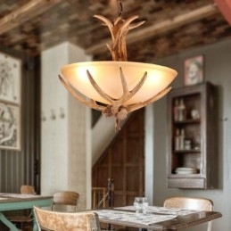 Eén licht rustieke artistieke retro gewei antieke hanglamp met glazen kap