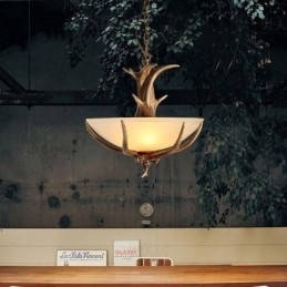 Eén licht rustieke artistieke retro gewei antieke hanglamp met glazen kap