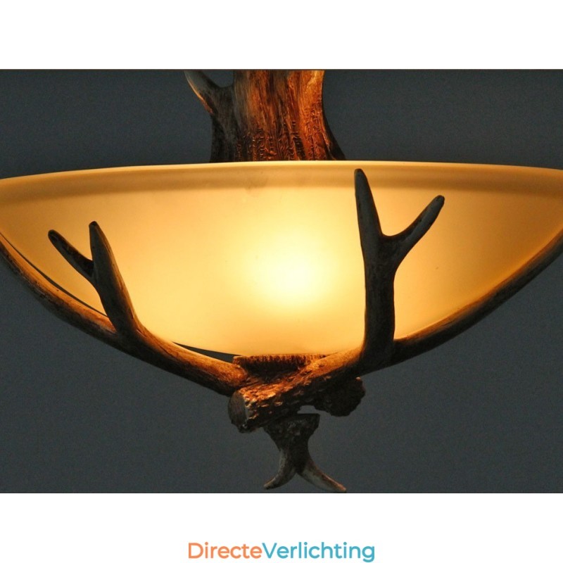 Eén licht rustieke artistieke retro gewei antieke hanglamp met glazen kap