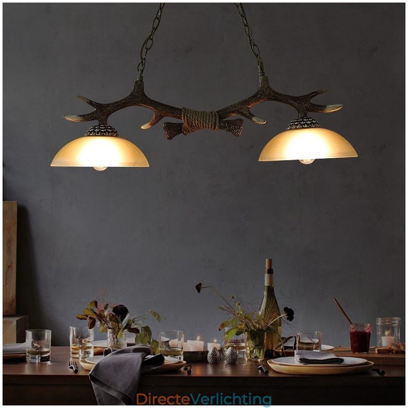 2-lichts zwarte rustieke artistieke retro gewei antieke hanglamp met glazen kap
