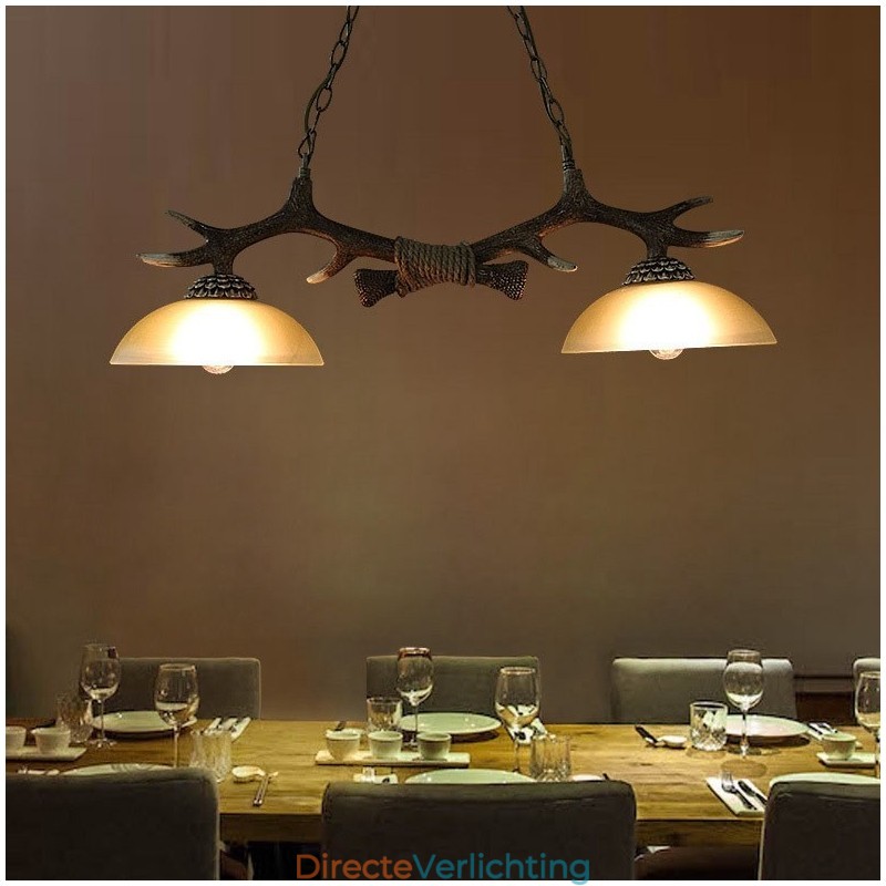 2-lichts zwarte rustieke artistieke retro gewei antieke hanglamp met glazen kap