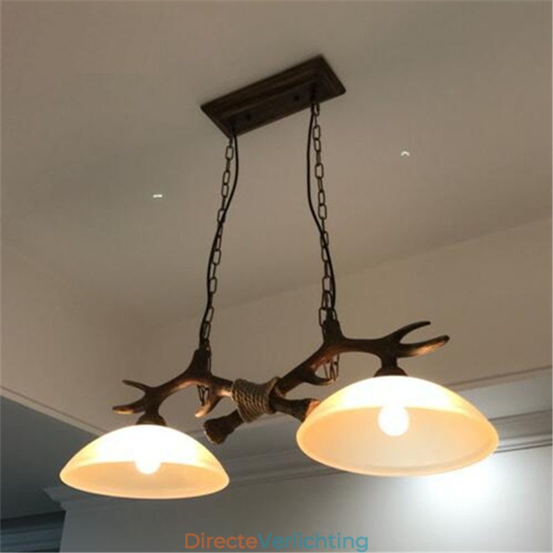2-lichts zwarte rustieke artistieke retro gewei antieke hanglamp met glazen kap