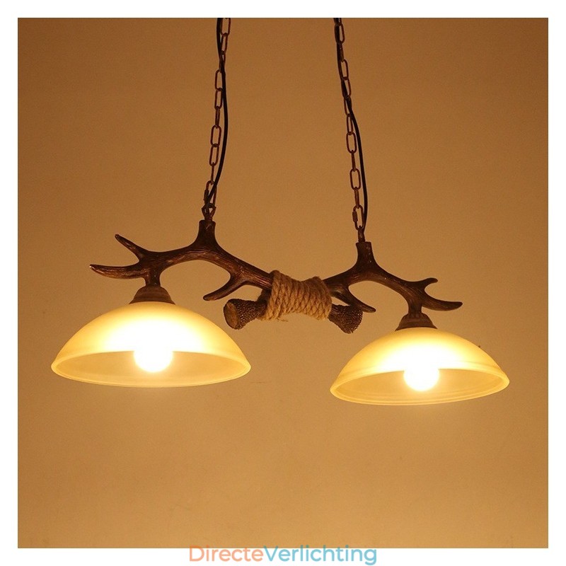 2-lichts zwarte rustieke artistieke retro gewei antieke hanglamp met glazen kap