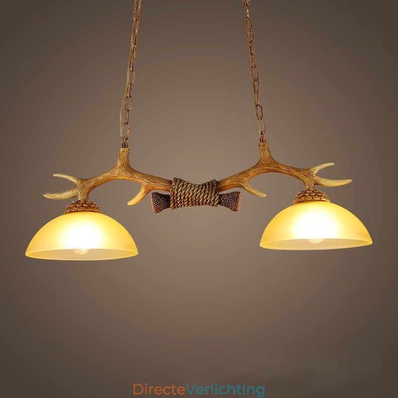2 Lichtbruine rustieke artistieke retro gewei antieke hanglamp met glazen kap
