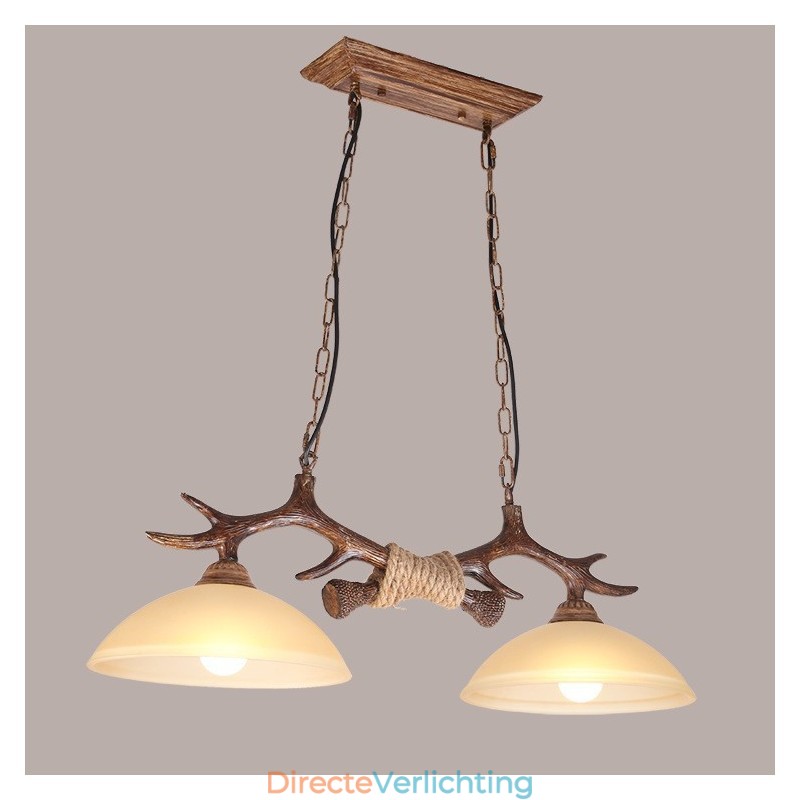 2 Lichtbruine rustieke artistieke retro gewei antieke hanglamp met glazen kap