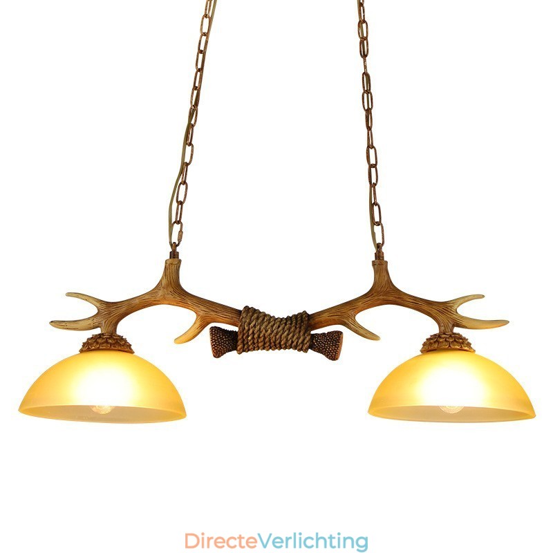 2 Lichtbruine rustieke artistieke retro gewei antieke hanglamp met glazen kap