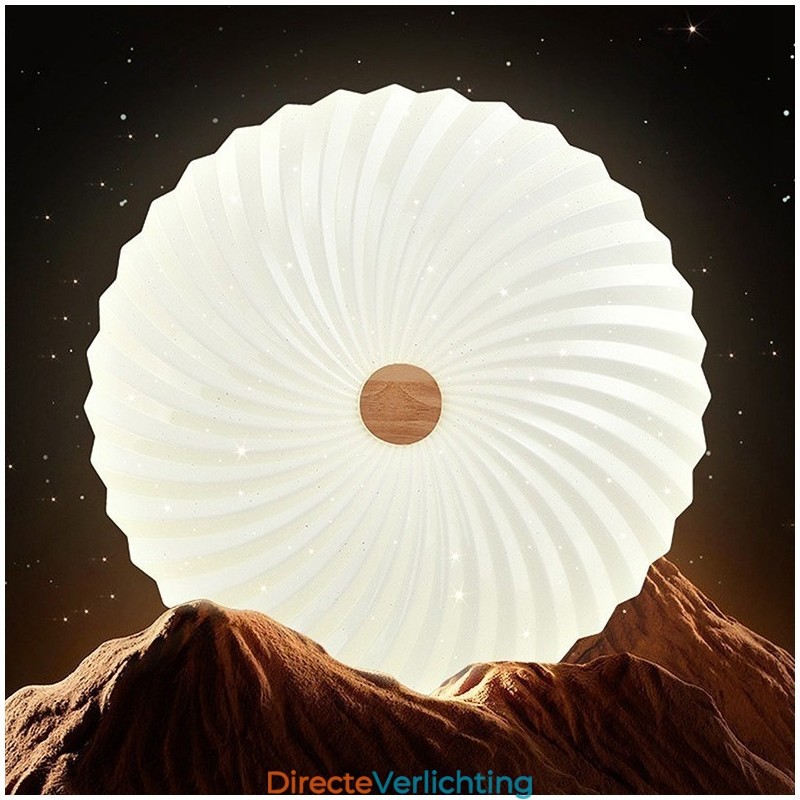 Nordic Ronde Eenvoudige Moderne Massief Houten Plafondlamp