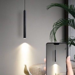 Eenvoudige moderne eigentijdse hanglamp
