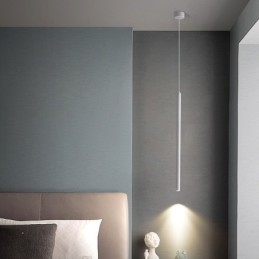 Eenvoudige moderne eigentijdse hanglamp