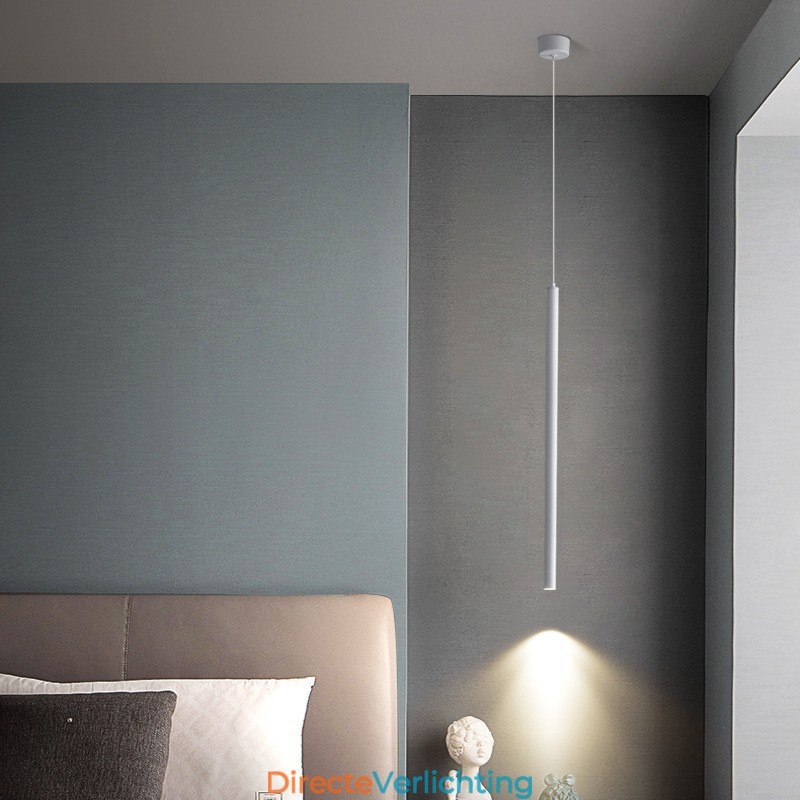 Eenvoudige moderne eigentijdse hanglamp
