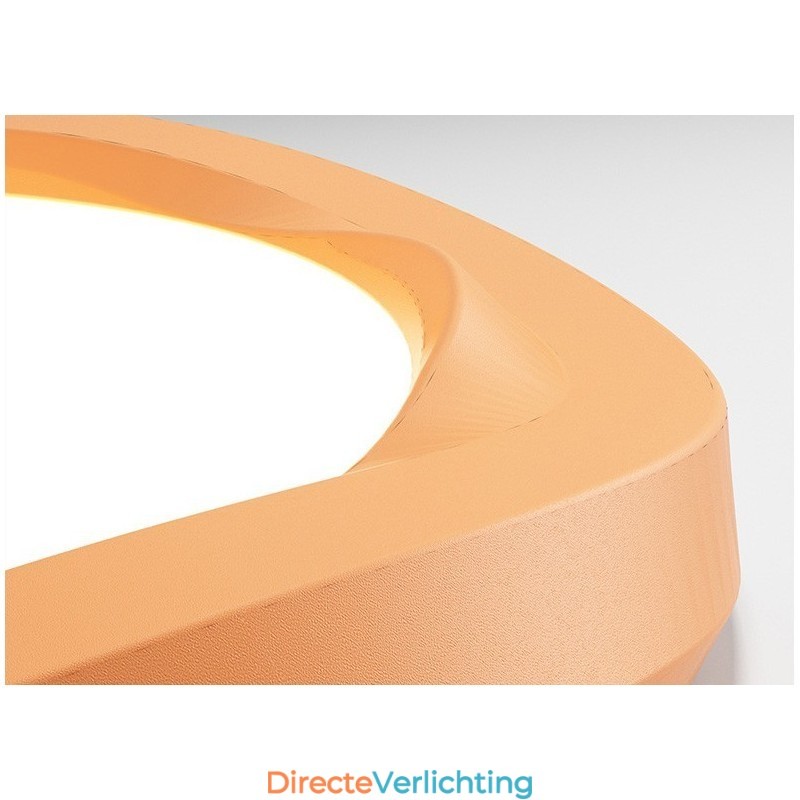Dimbare Full Spectrum Oogbescherming Multi Kleuren Moderne Plafondlamp Binnenverlichting