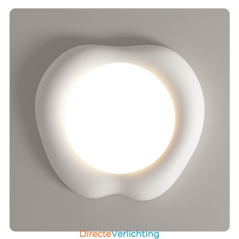 Dimbare Full Spectrum Oogbescherming Multi Kleuren Moderne Plafondlamp Binnenverlichting
