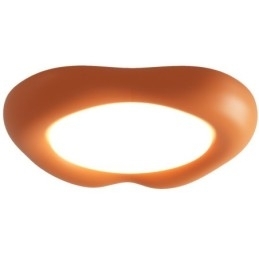 Dimbare Full Spectrum Oogbescherming Multi Kleuren Moderne Plafondlamp Binnenverlichting