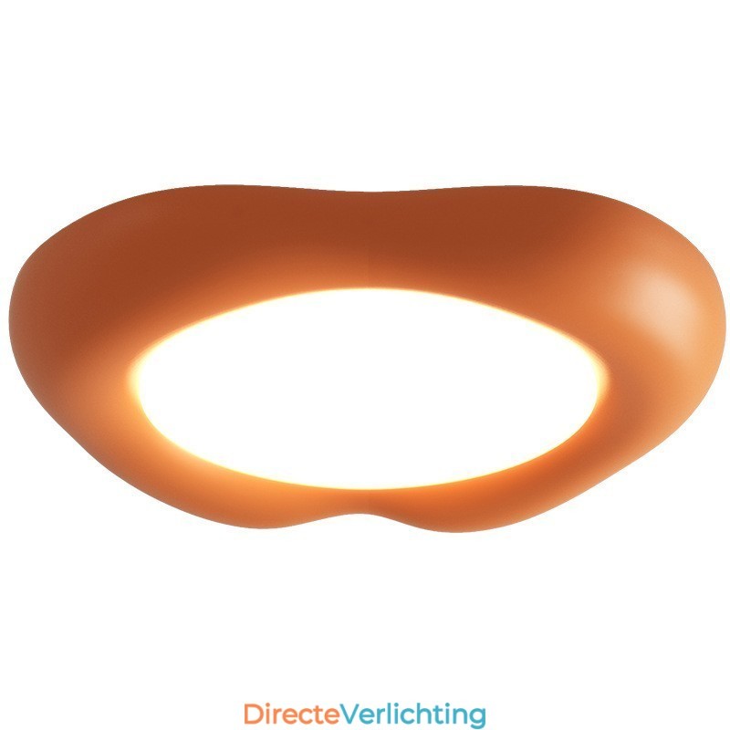 Dimbare Full Spectrum Oogbescherming Multi Kleuren Moderne Plafondlamp Binnenverlichting