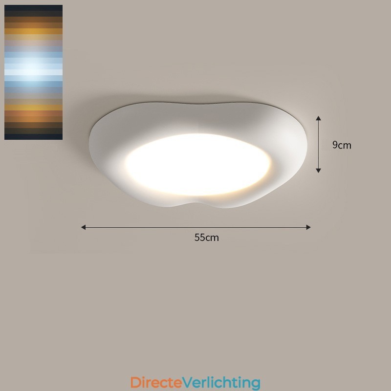 Dimbare Full Spectrum Oogbescherming Multi Kleuren Moderne Plafondlamp Binnenverlichting