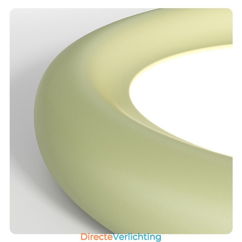 Dimbare Full Spectrum Oogbescherming Multi Kleuren Moderne Plafondlamp Binnenverlichting