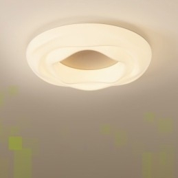 Dimbare ronde moderne plafondlamp voor binnenverlichting