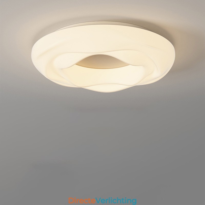 Dimbare ronde moderne plafondlamp voor binnenverlichting