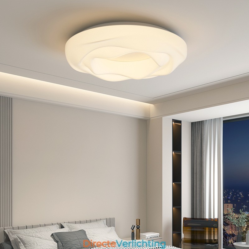 Dimbare ronde moderne plafondlamp voor binnenverlichting