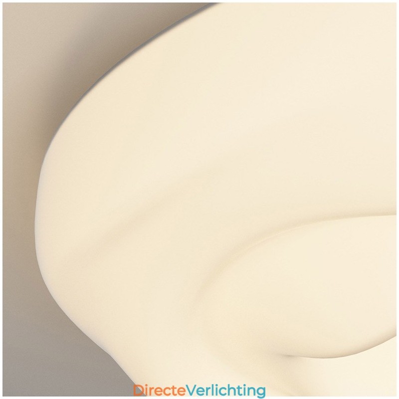 Dimbare ronde moderne plafondlamp voor binnenverlichting