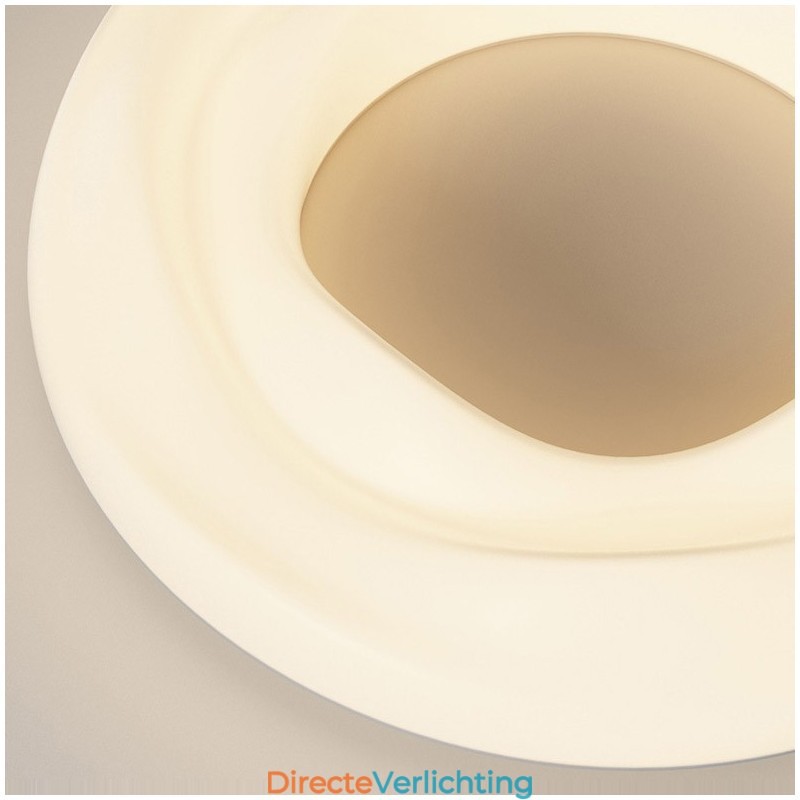 Dimbare ronde moderne plafondlamp voor binnenverlichting