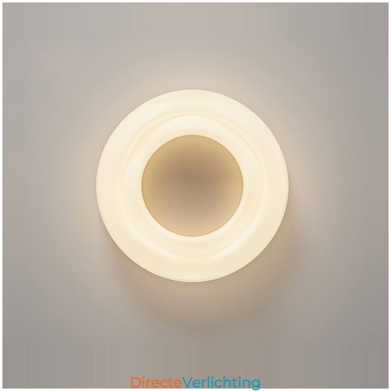 Dimbare ronde moderne plafondlamp voor binnenverlichting