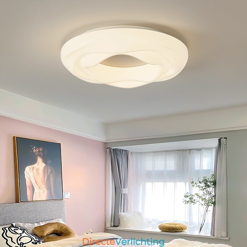 Dimbare ronde moderne plafondlamp voor binnenverlichting