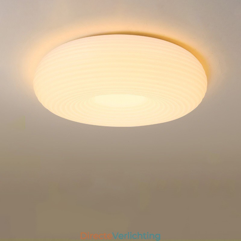 Dimbare Full Spectrum Oogbescherming Ronde Moderne Plafondlamp